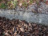 image of grave number 945873